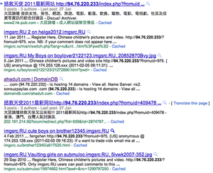 Google results for a contaminated IP
